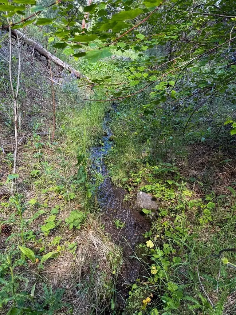 40 Shadow Lane Cascade MT 59421