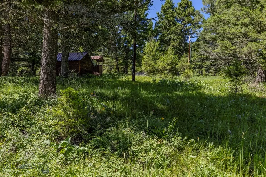 593 Upper Cottonwood Wilsall MT 59086