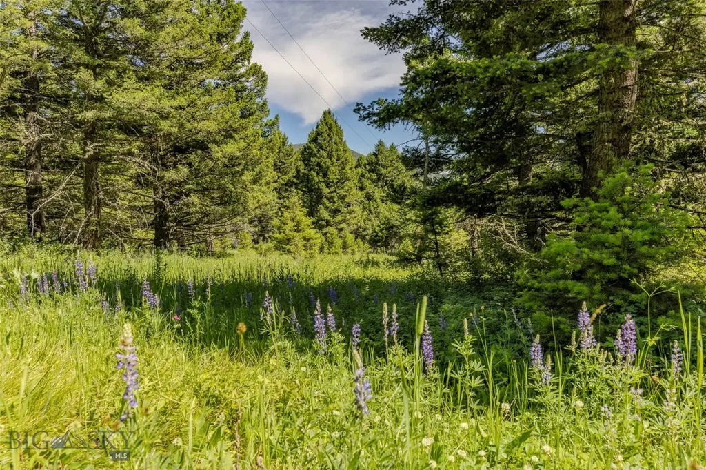 593 Upper Cottonwood Wilsall MT 59086