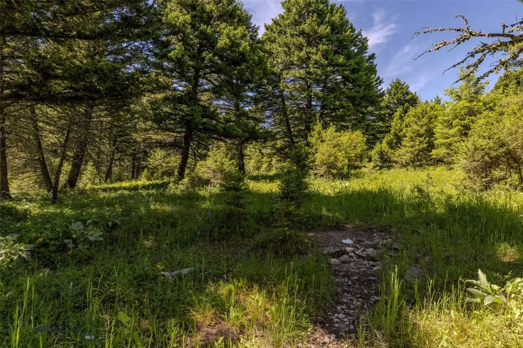 593 Upper Cottonwood Wilsall MT 59086
