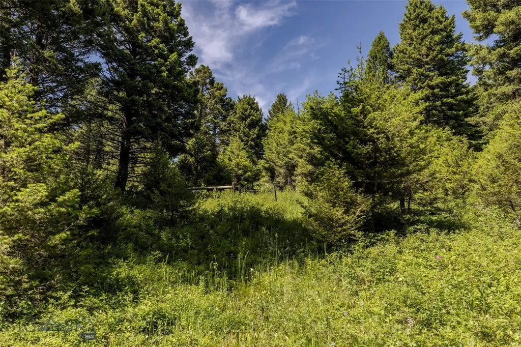 593 Upper Cottonwood Wilsall MT 59086