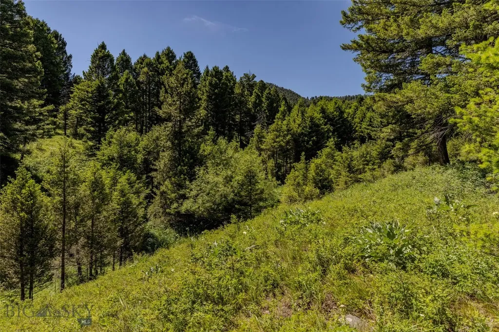 593 Upper Cottonwood Wilsall MT 59086