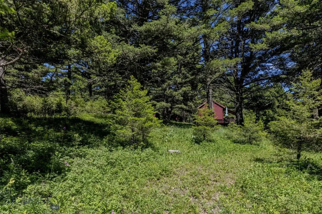 593 Upper Cottonwood Wilsall MT 59086