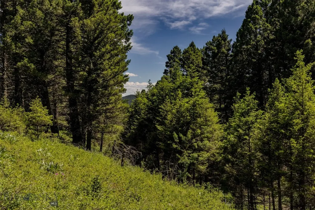 593 Upper Cottonwood Wilsall MT 59086