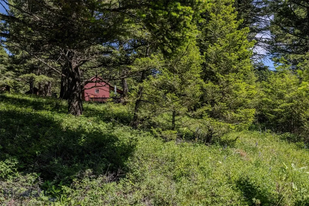 593 Upper Cottonwood Wilsall MT 59086