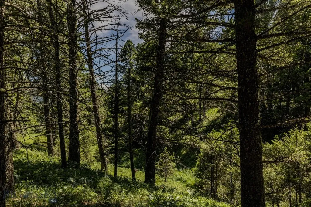 593 Upper Cottonwood Wilsall MT 59086