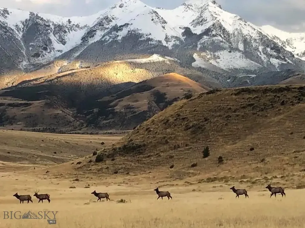 60 Hidden Valley Road Emigrant MT 59027
