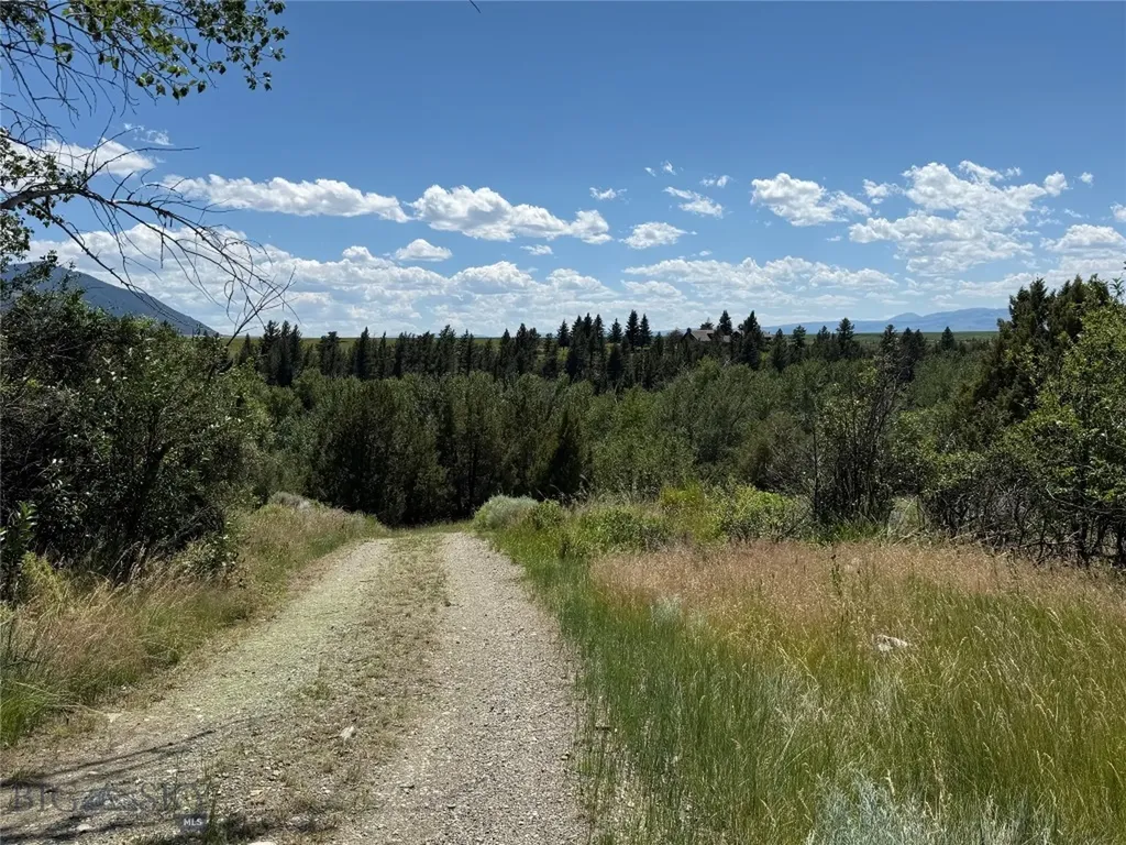 521 Jack Creek Road Ennis MT 59729
