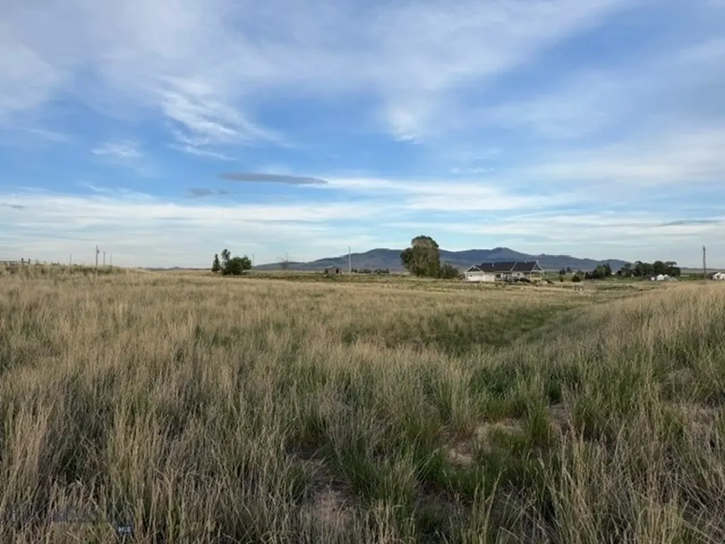 Lot 38&39 Hoot Owl Street Dillon MT 59725