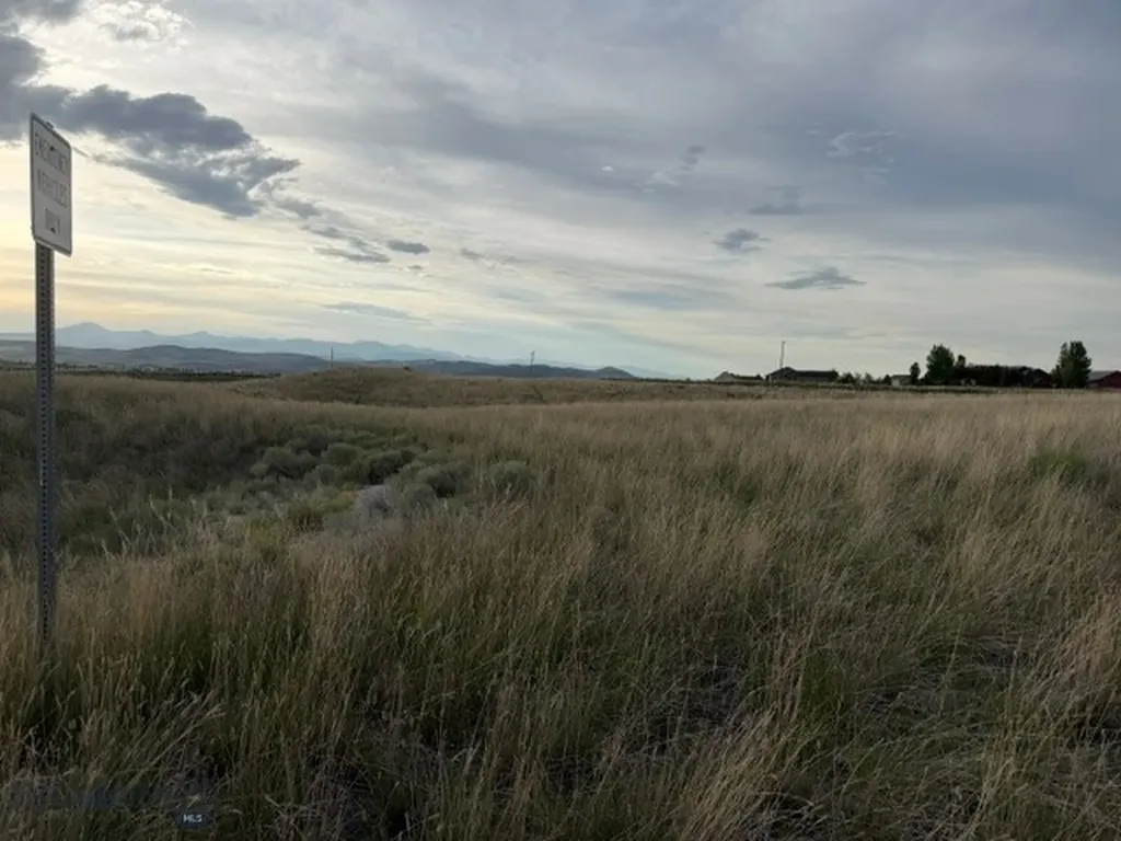 Lot 38&39 Hoot Owl Street Dillon MT 59725