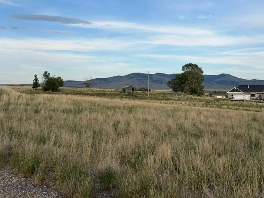 Lot 38&39 Hoot Owl Street Dillon MT 59725
