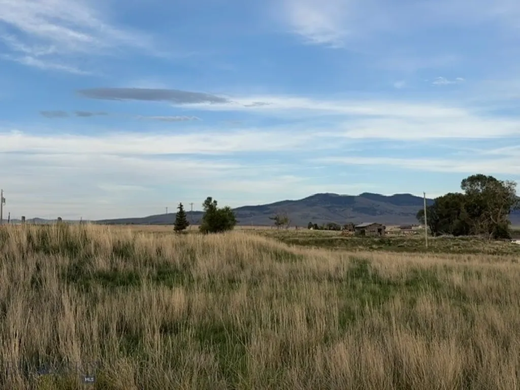 Lot 38&39 Hoot Owl Street Dillon MT 59725