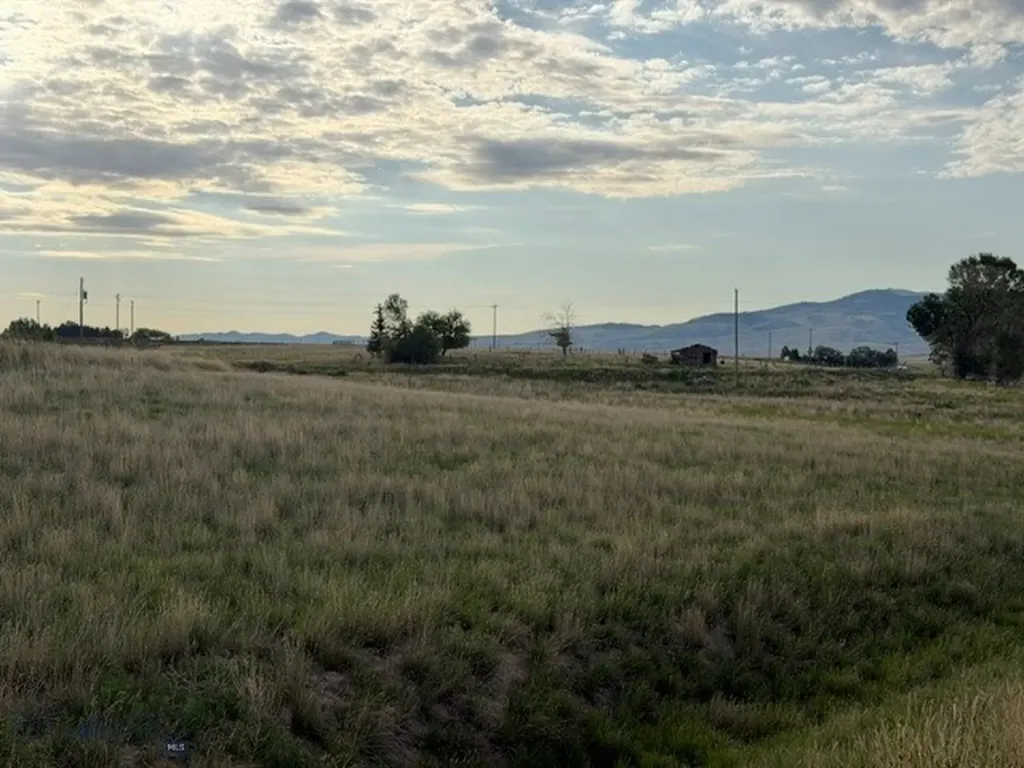 Lot 38&39 Hoot Owl Street Dillon MT 59725