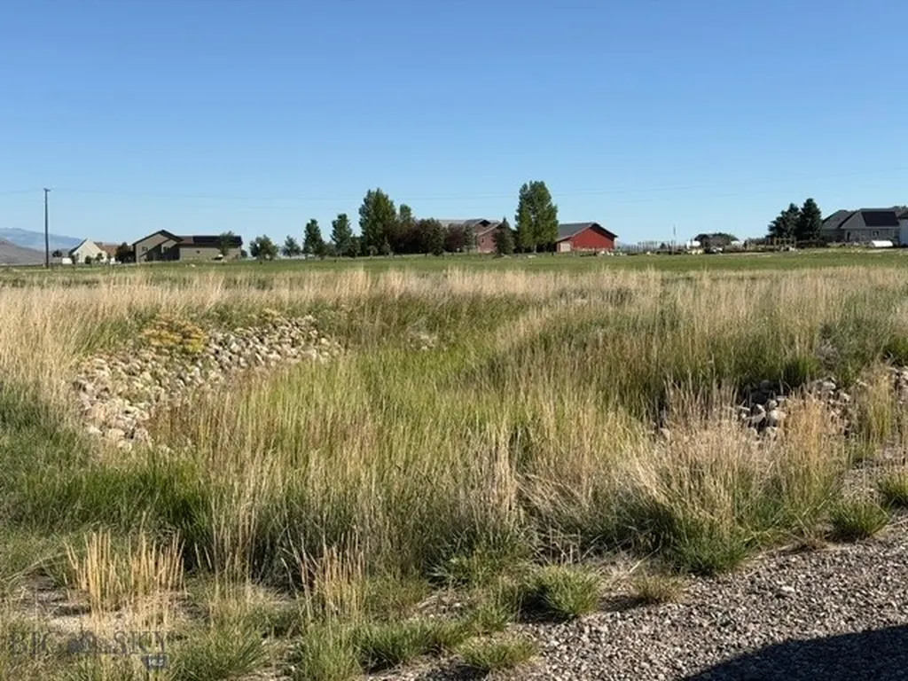 Lot 38&39 Hoot Owl Street Dillon MT 59725