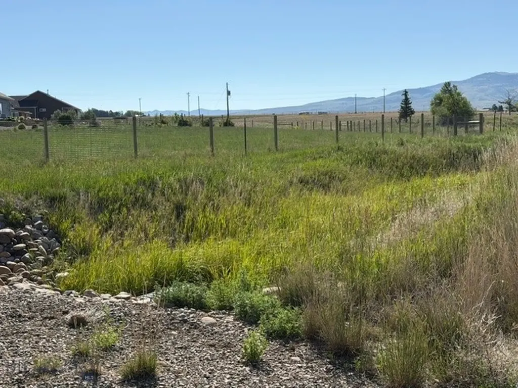Lot 38&39 Hoot Owl Street Dillon MT 59725