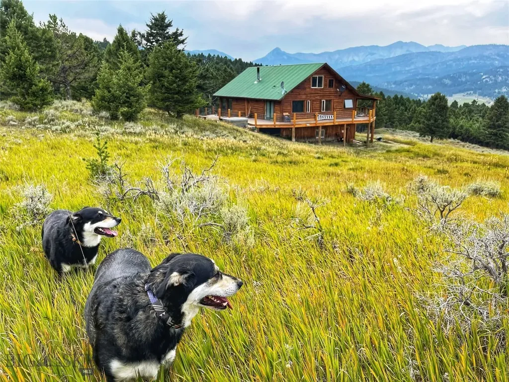 600 Middle Skunk Creek Bozeman MT 59715