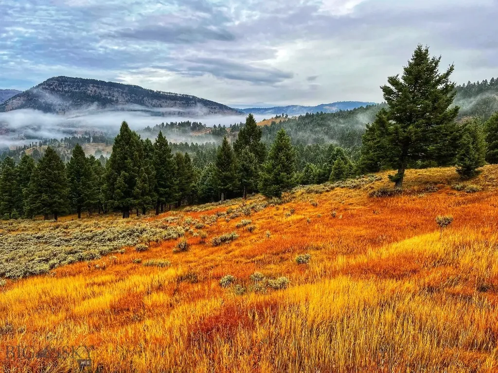 600 Middle Skunk Creek Bozeman MT 59715