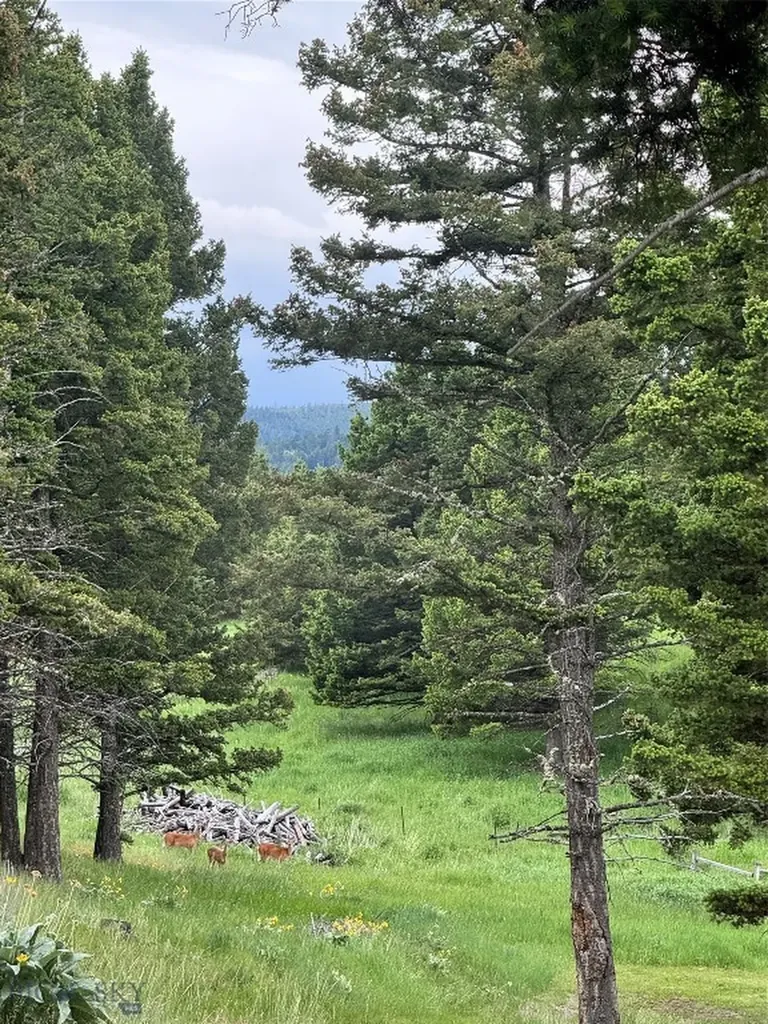 600 Middle Skunk Creek Bozeman MT 59715