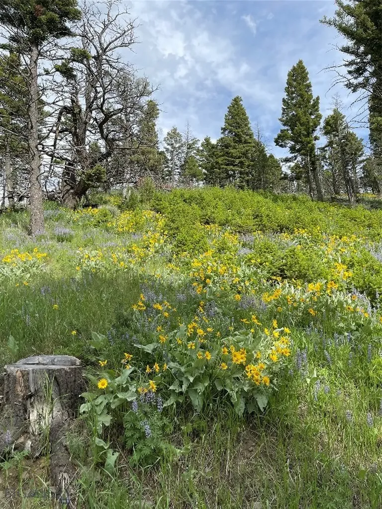 600 Middle Skunk Creek Bozeman MT 59715