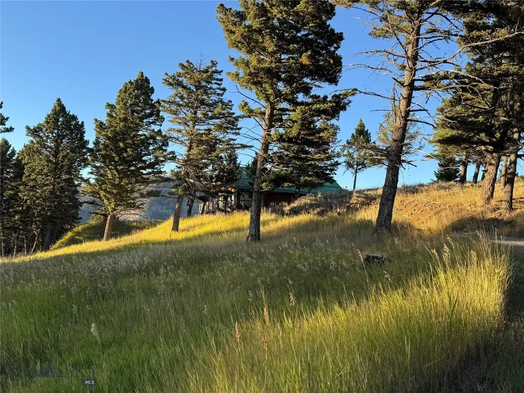 600 Middle Skunk Creek Bozeman MT 59715