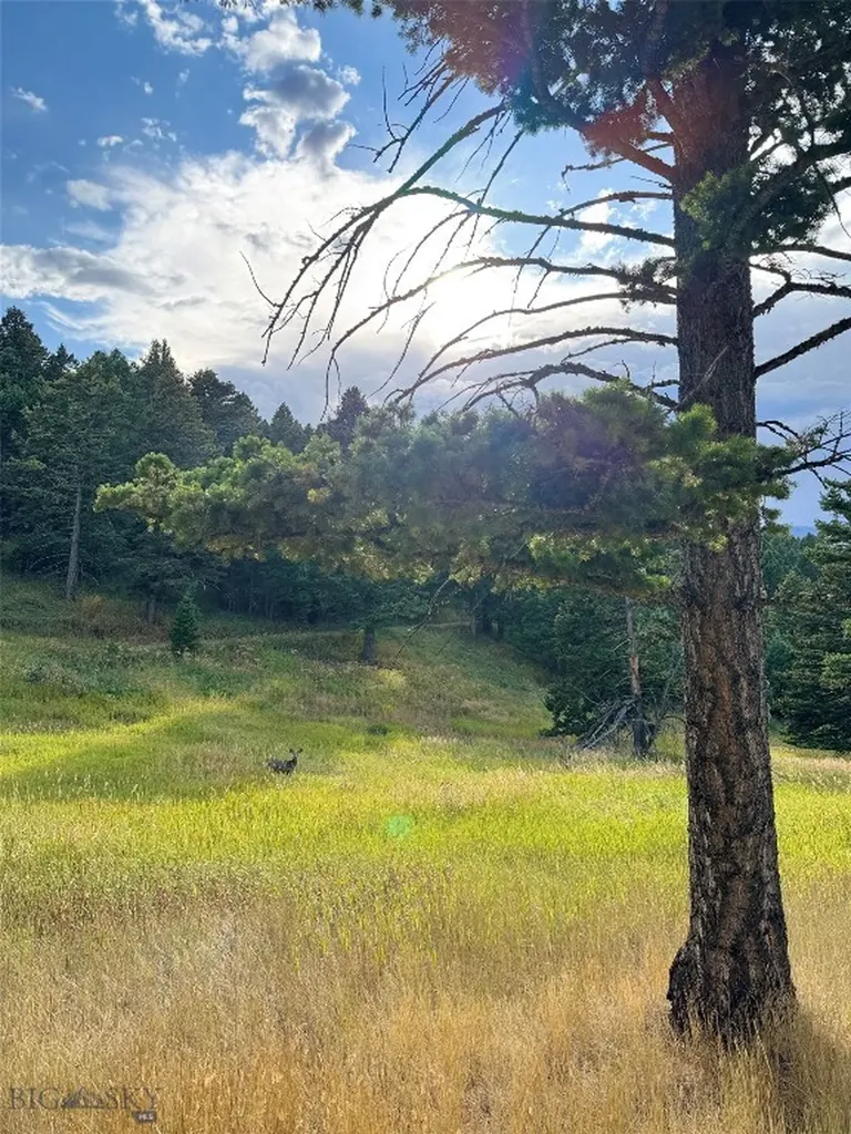 600 Middle Skunk Creek Bozeman MT 59715