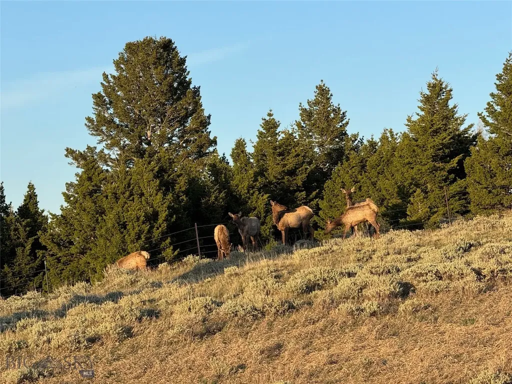 600 Middle Skunk Creek Bozeman MT 59715