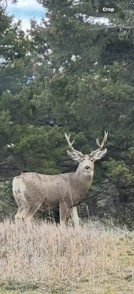 600 Middle Skunk Creek Bozeman MT 59715