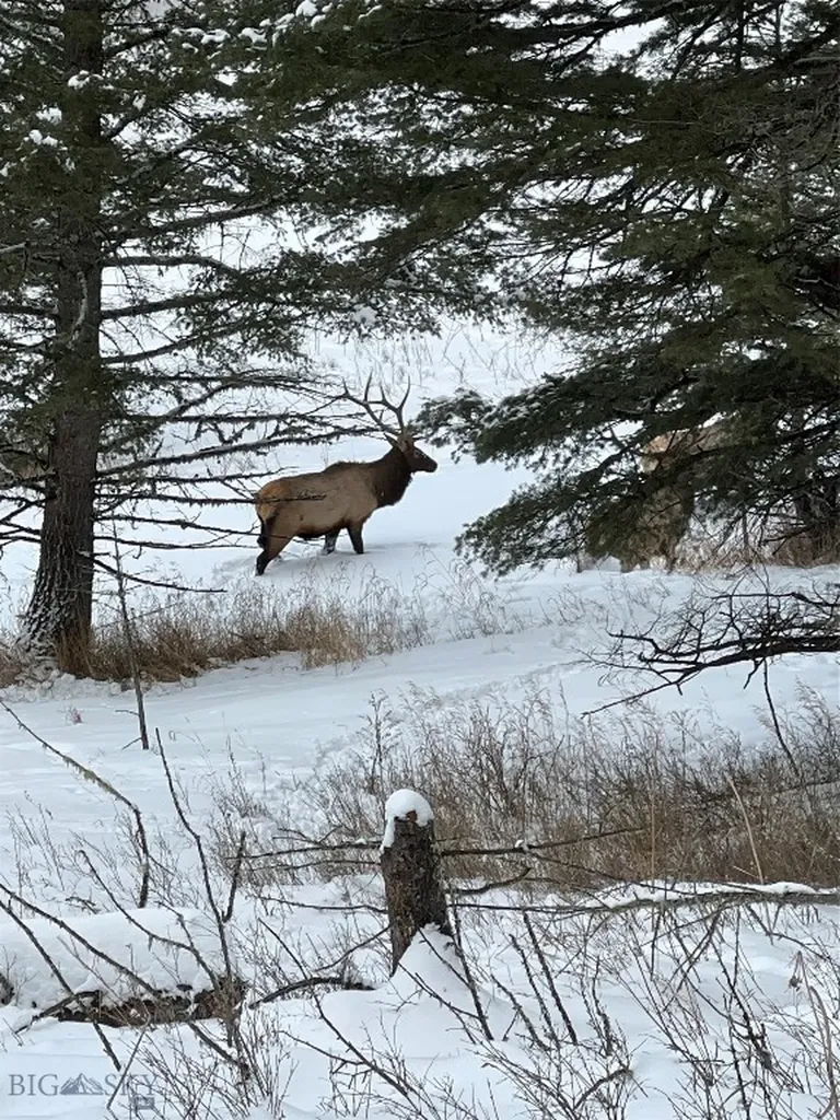600 Middle Skunk Creek Bozeman MT 59715