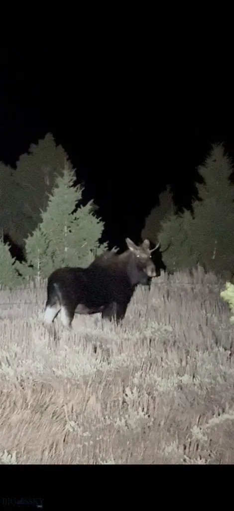 600 Middle Skunk Creek Bozeman MT 59715