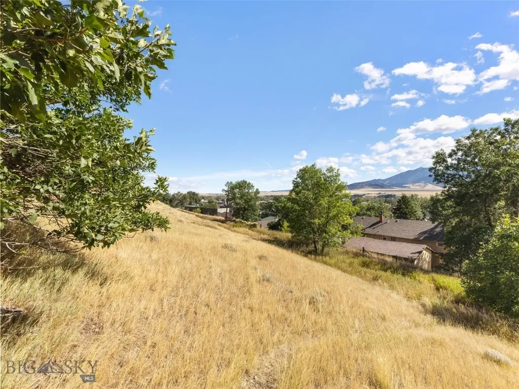 Tbd W Gallatin Street Livingston MT 59047