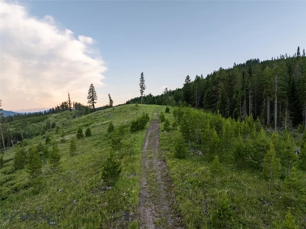 11540 Taiga Trail Bozeman MT 59715