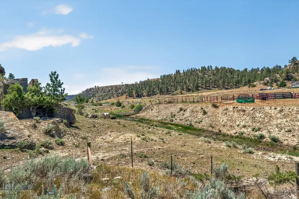 2727 Buffalo Trail Road Molt MT 59057