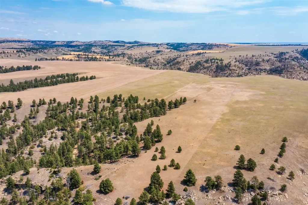 2727 Buffalo Trail Road Molt MT 59057