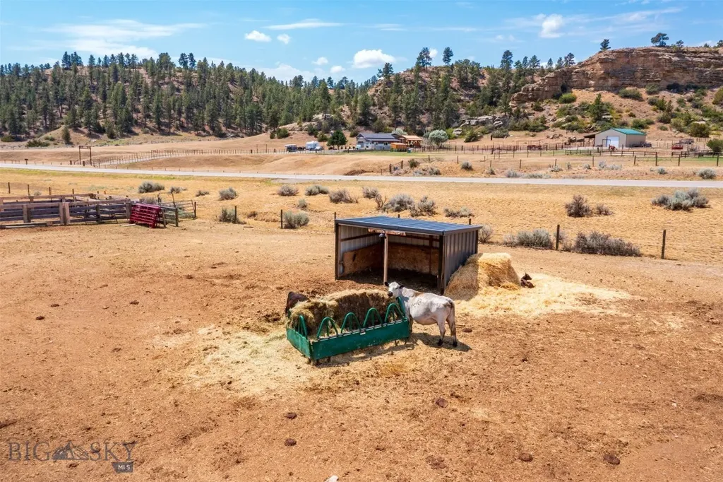 2727 Buffalo Trail Road Molt MT 59057