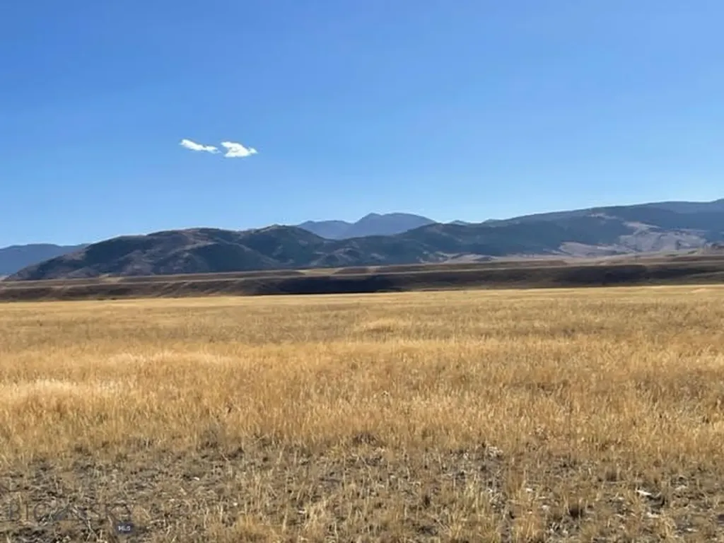 Lot 73 Sphinx Mountain Cameron MT 59720