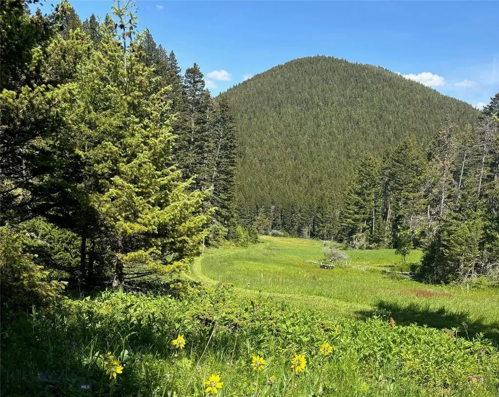 Tbd Maiden Road Lewistown MT 59457