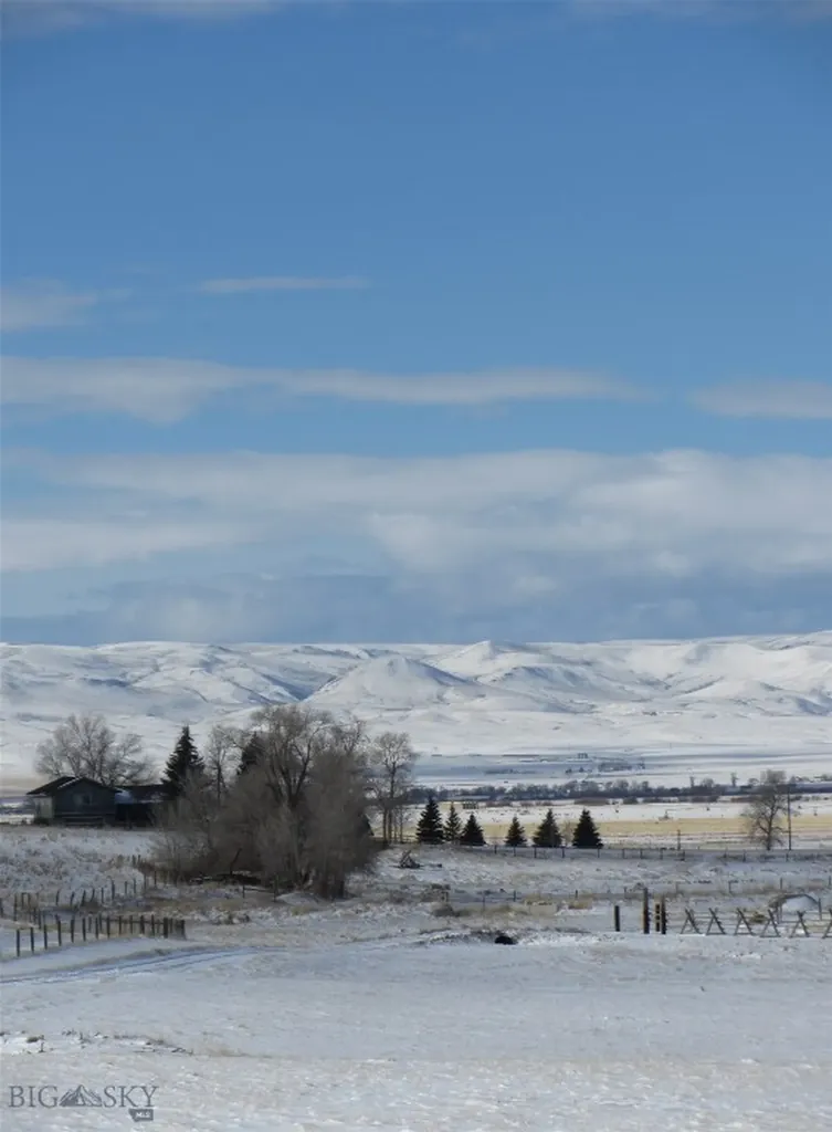 3919 Blacktail Road Dillon MT 59725