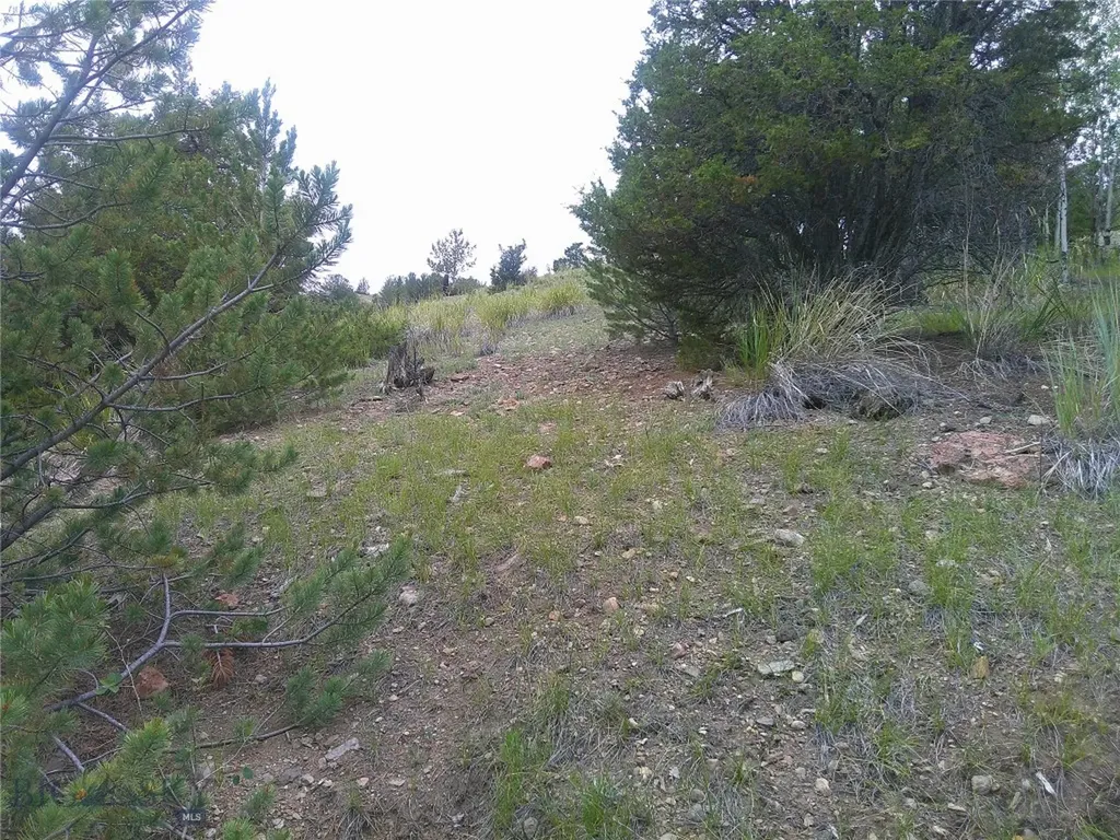 69 Sleepy Hollow Drive Anaconda MT 59711