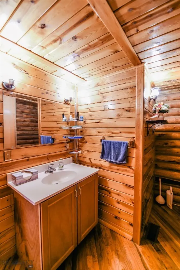 588 Saddle Drive Dillon MT 59725