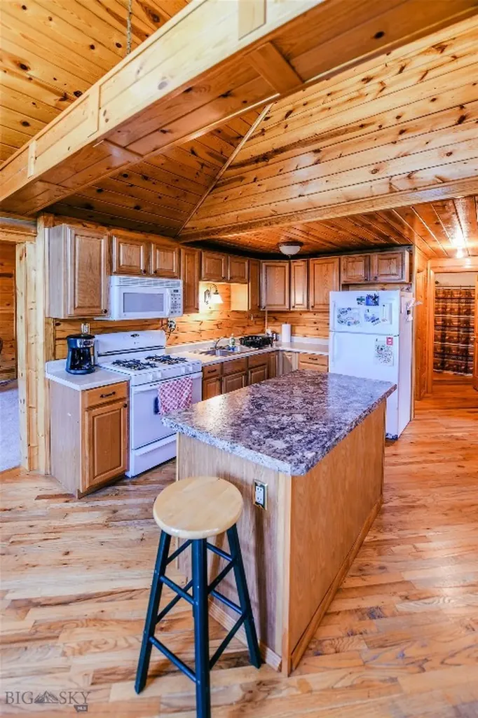 588 Saddle Drive Dillon MT 59725