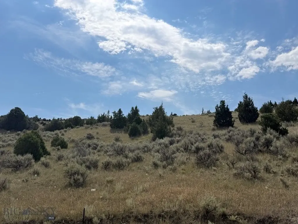 Tbd Horse Castle Road Manhattan MT 59741