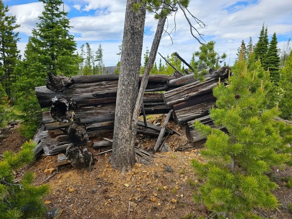 Climax Bullion Parks Road Elliston MT 59728