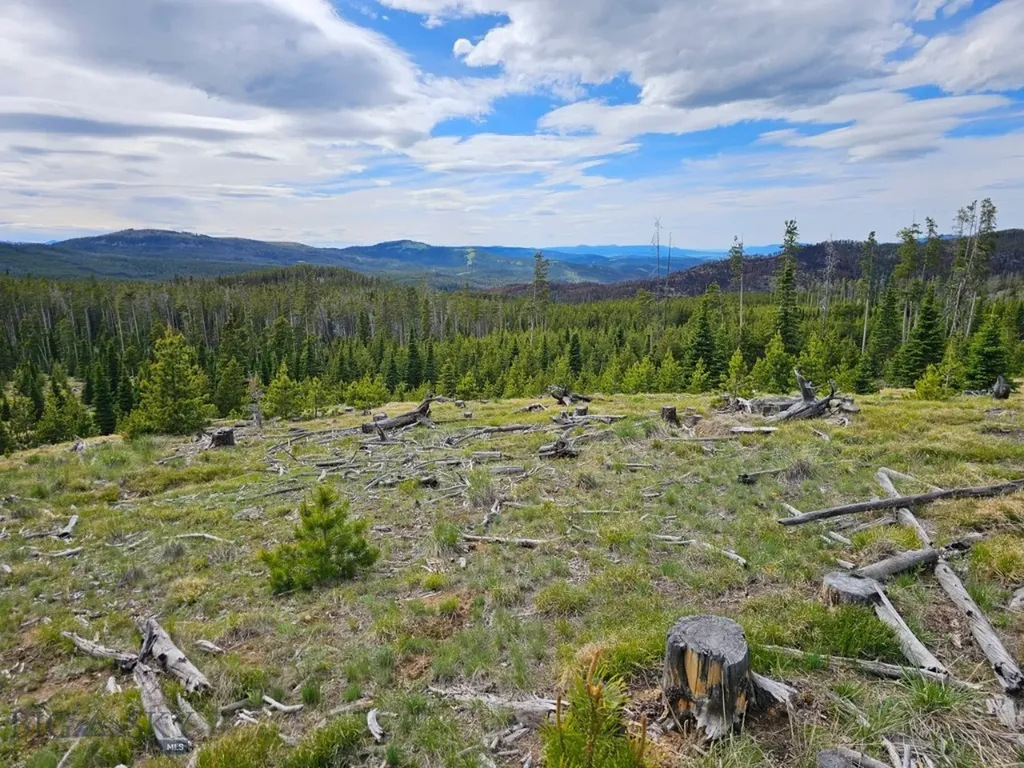 Climax Bullion Parks Road Elliston MT 59728