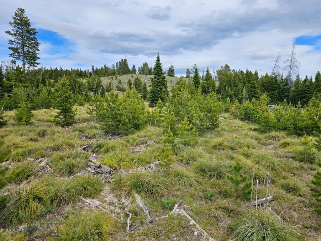 Climax Bullion Parks Road Elliston MT 59728