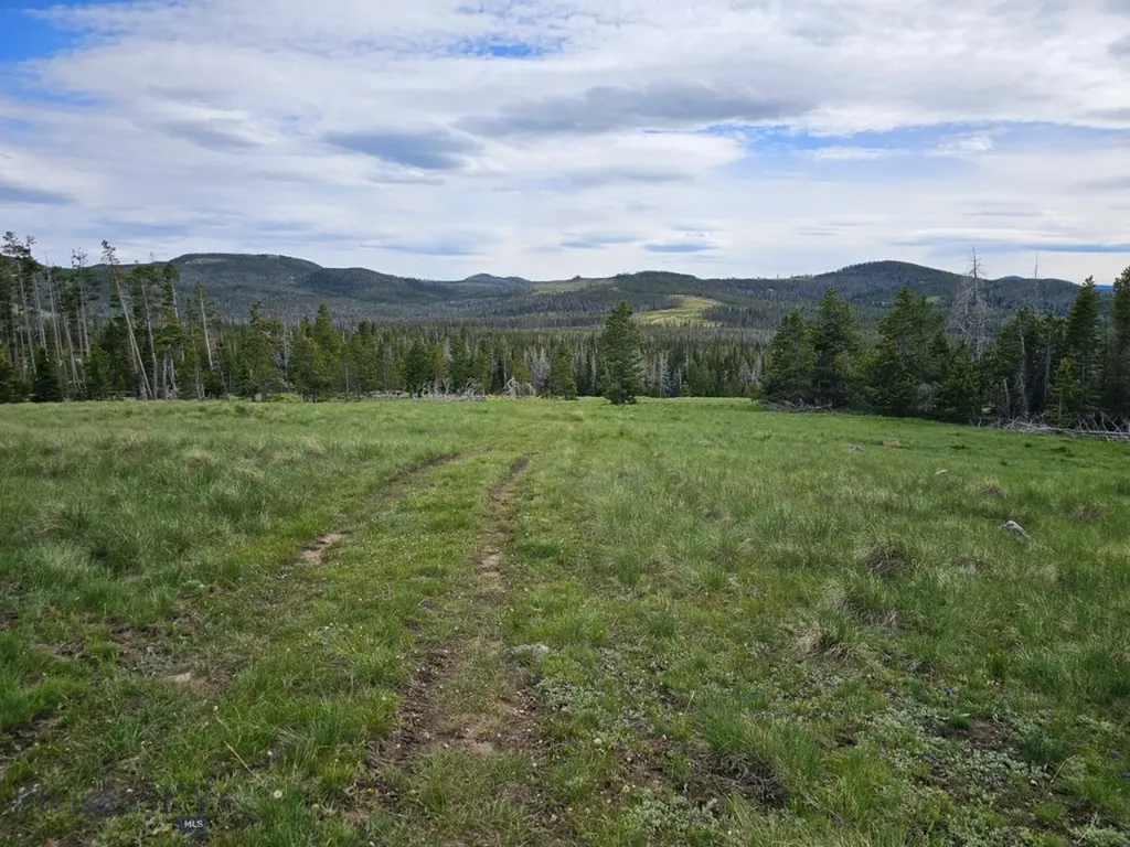 Climax Bullion Parks Road Elliston MT 59728