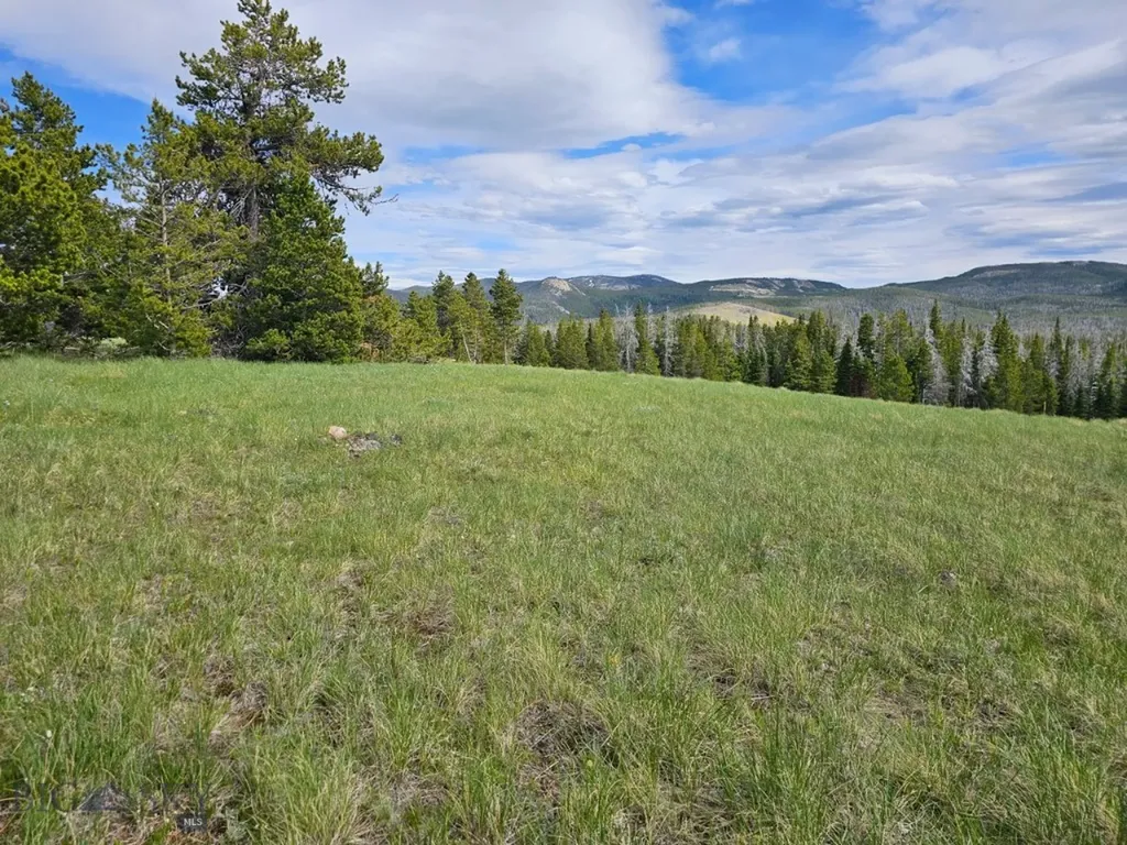 Climax Bullion Parks Road Elliston MT 59728