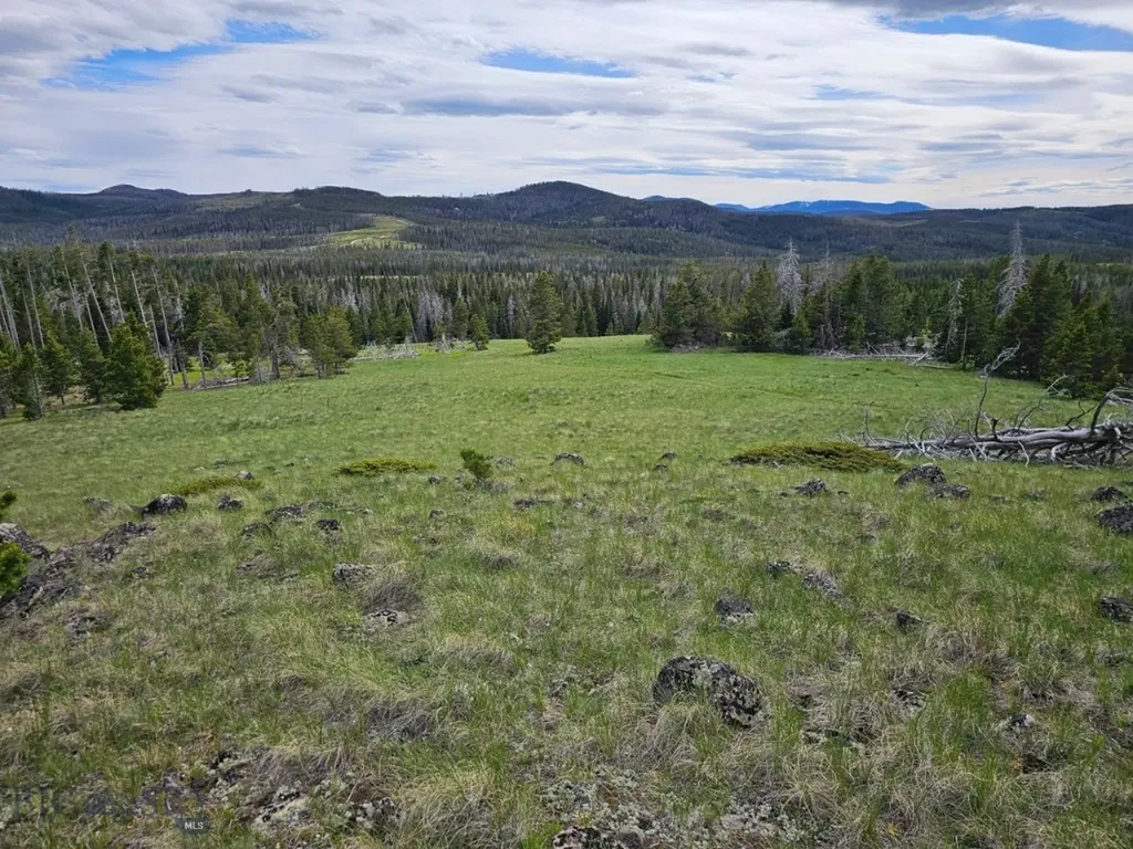 Climax Bullion Parks Road Elliston MT 59728