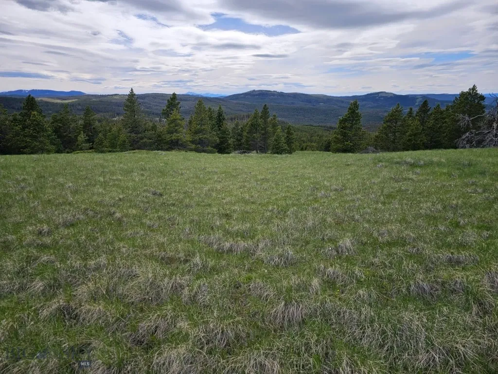 Climax Bullion Parks Road Elliston MT 59728