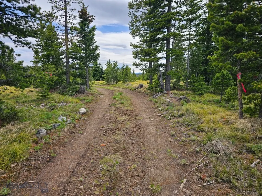 Climax Bullion Parks Road Elliston MT 59728