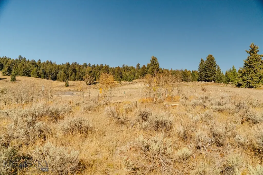 Lot 13 Upper Whitefish Drive Big Sky MT 59716